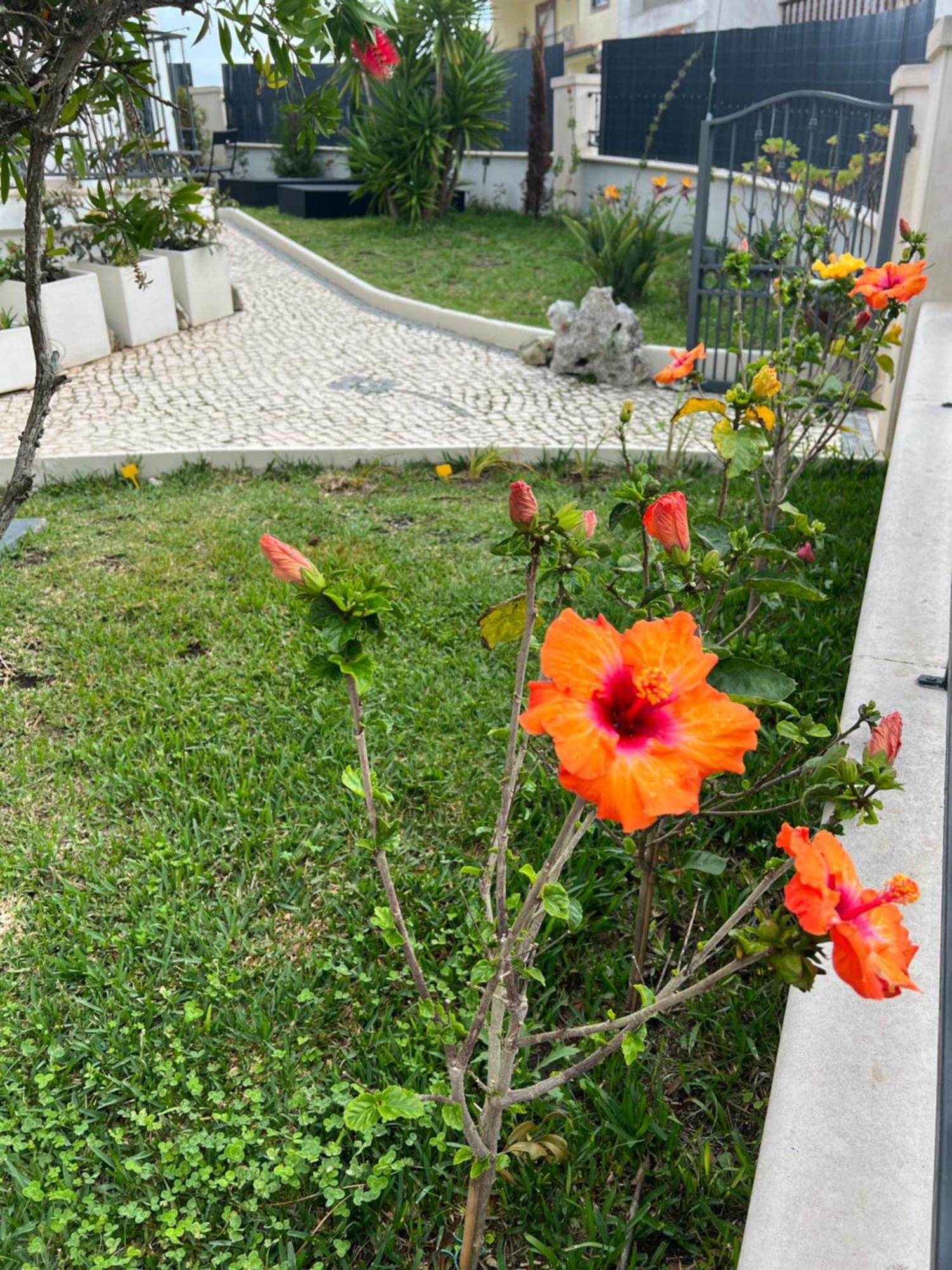 Nazare Oasis Suites 외부 사진